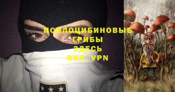 тгк Аркадак