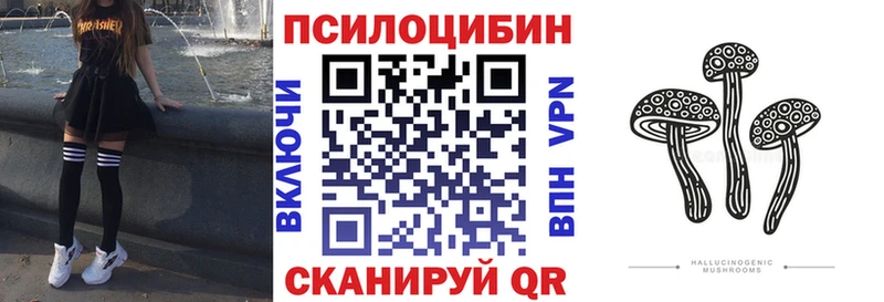 Псилоцибиновые грибы Psilocybe  купить наркоту  Хадыженск 